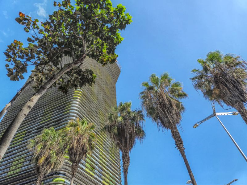 Yan Building 3A by CanariasGetaway